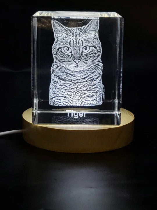 Personalized Freezepix 3D Crystal Pet Photo Gift / LED Base Light Included - Unpredictable Gifts