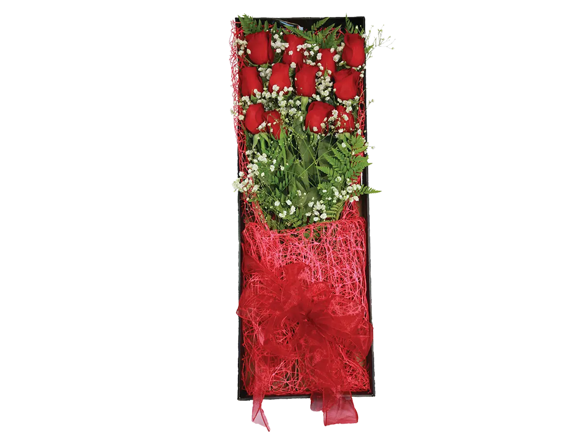 Premium Dozen Roses in Gift Box - Unpredictable Gifts