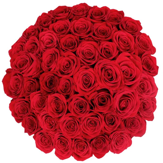 48 Stems of Beautiful Red Roses - Unpredictable Gifts