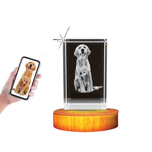 Personalized Freezepix 3D Crystal Pet Photo Gift / LED Base Light Included