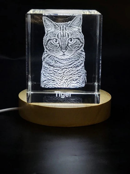Personalized Freezepix 3D Crystal Pet Photo Gift / LED Base Light Included